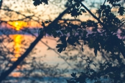 Silhouette Sunset