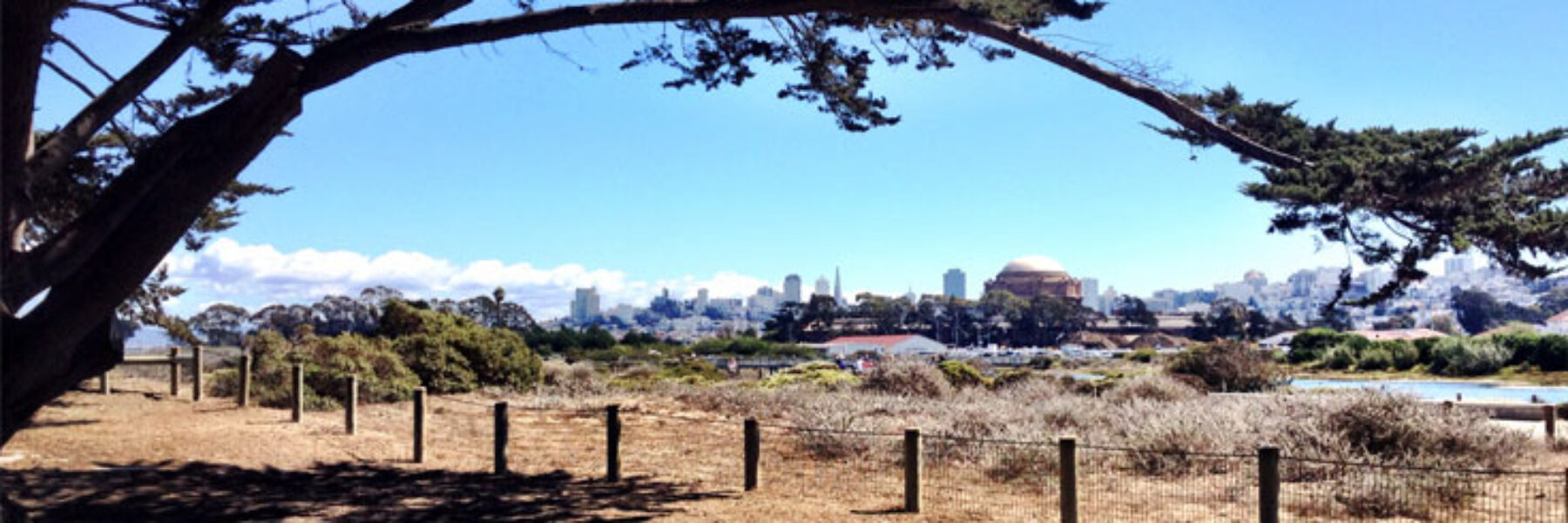 Bike ride along the bay