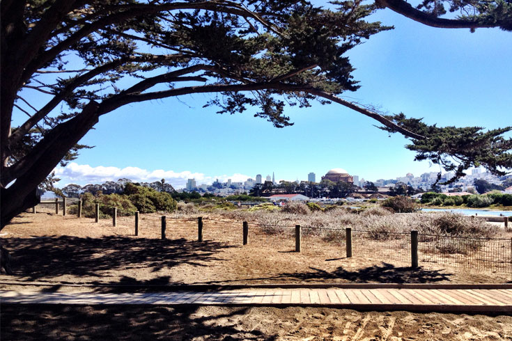 Bike ride along the bay