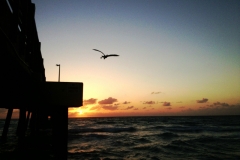 piers-08