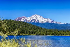 IMG_4566-Edit