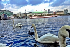 germany-hamburg-0929-2012-09
