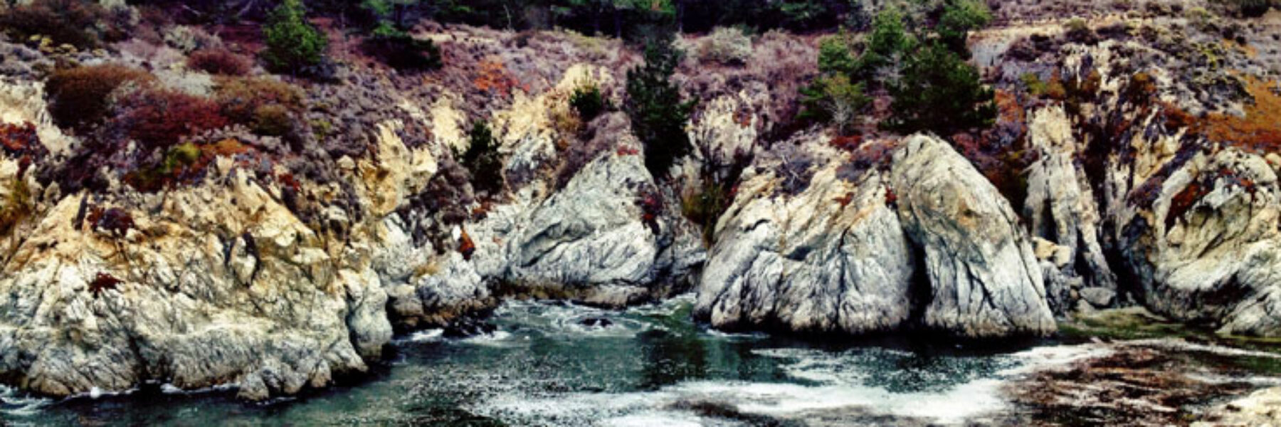 Point Lobos