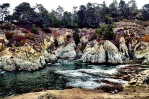 Point Lobos
