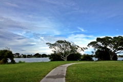 2012-08-03_17.18.39