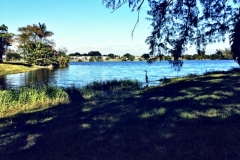 2012-11-19_17.05.05