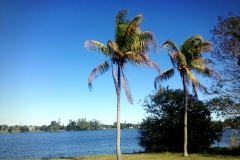 2012-12-22_14.01.53