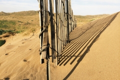 point-reyes-05