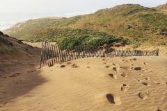 point-reyes-06