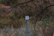 cmbpix_-_incline_village-67