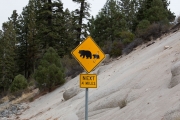 cmbpix_-_incline_village-70
