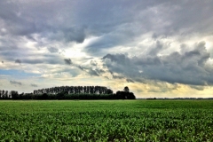 wesermarsch-17
