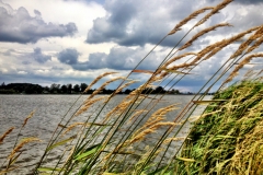wesermarsch-19