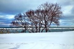2012-12-25_08.54.36