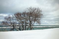 2012-12-25_08.56.55