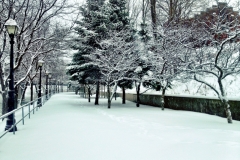 2012-12-29_15.51.57