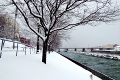 2012-12-29_15.53.59